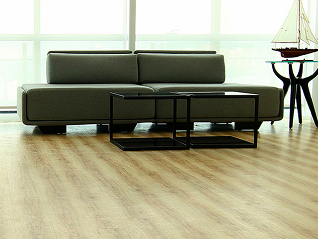 N2N-Corport Office