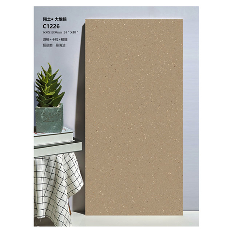 Глазурованная керамогранитная плитка для современных интерьеров-C12626