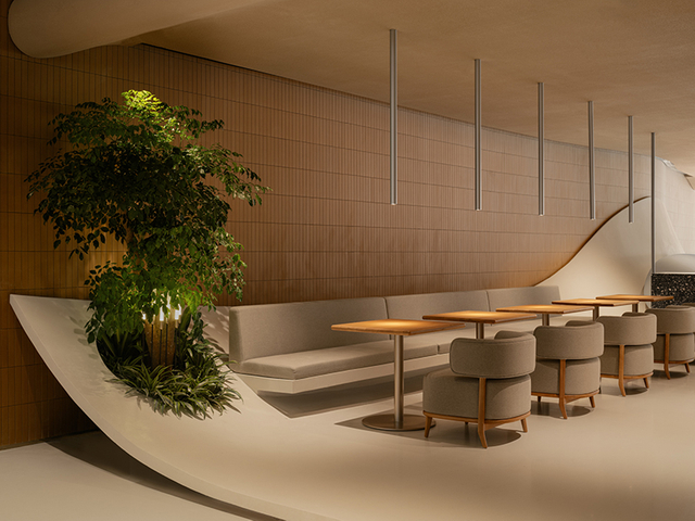 Wi -Fi Ceramics New Project - плитка по производству ресторанов (4)