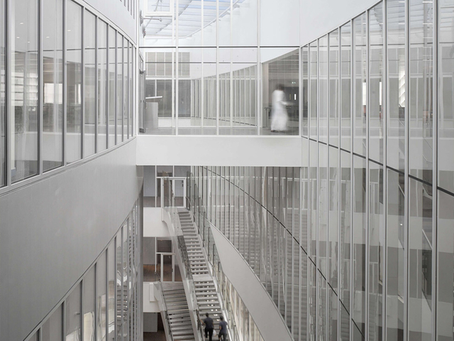 Нью-Йорк-Университет1