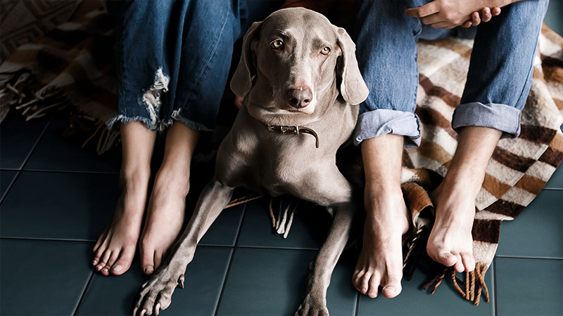 Большая долговечность