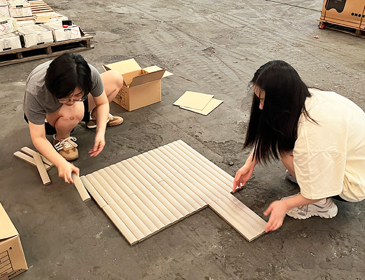 Колонинсекция