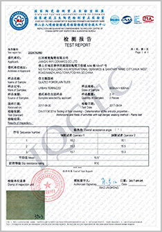 Отчет о тесте на недвижимость против SLIP-2