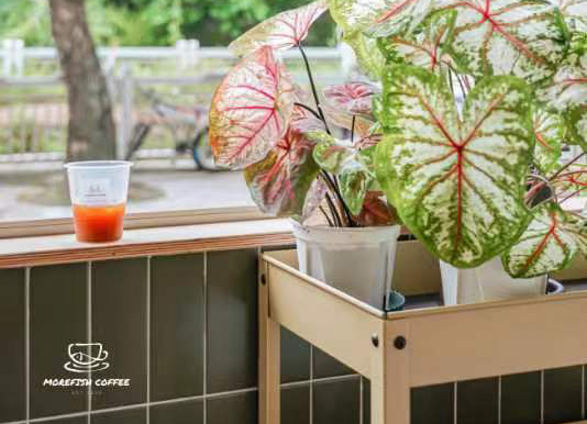 Wi -Fi Ceramics New Project - плитка для магазина с молочным чаем (5)