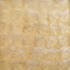 Capiz Seashell Mosaic-SM08